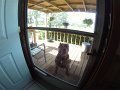 Kids_FL-Day7_11-2016-TurkeyDay (6)